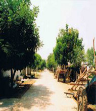 <h4 4>Village</h4>Village Roads.