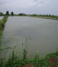 <h4>Village</h4>Water Pond.