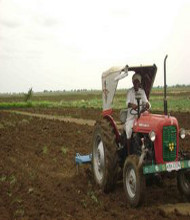 <h4>Village</h4>Farming.