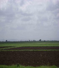 <h4>Village</h4>Farming.